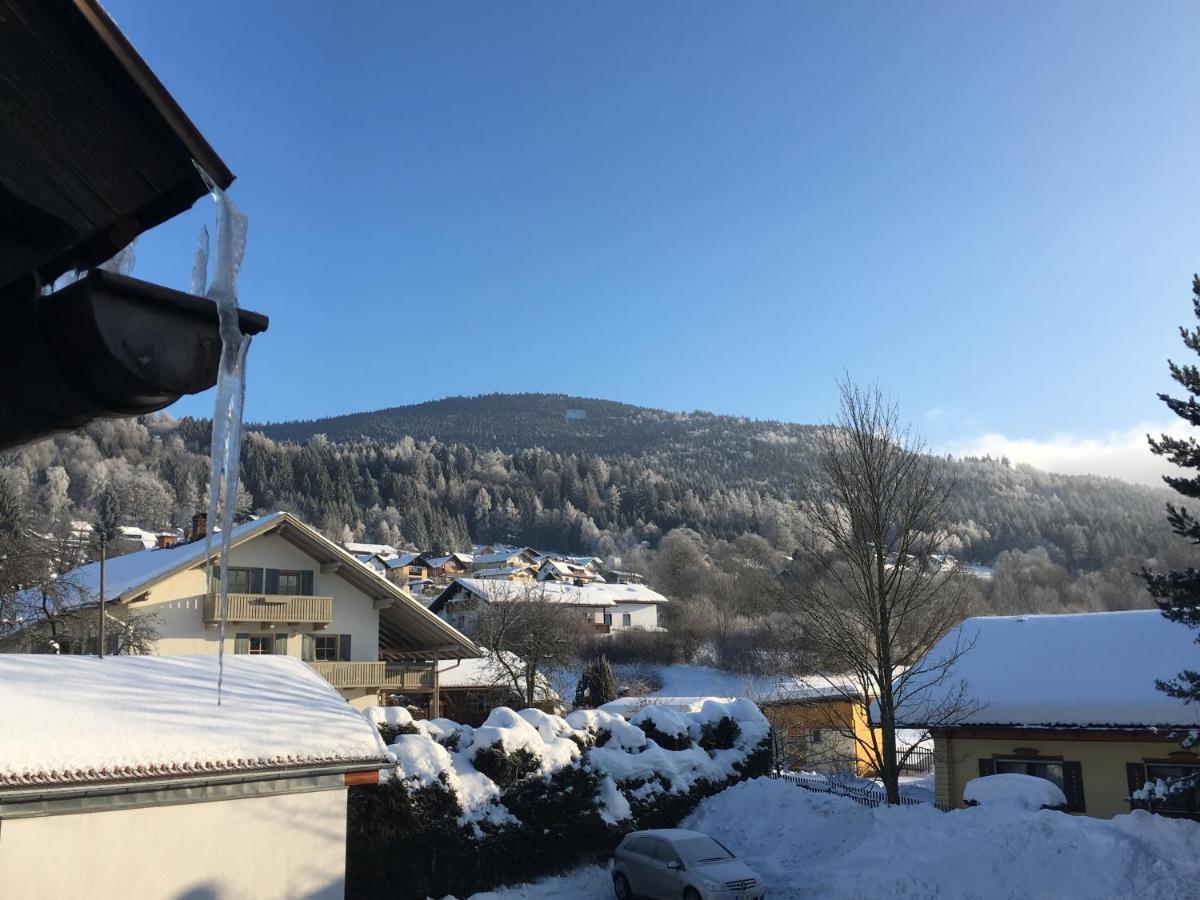Pension Zum Rechen Bodenmais Buitenkant foto